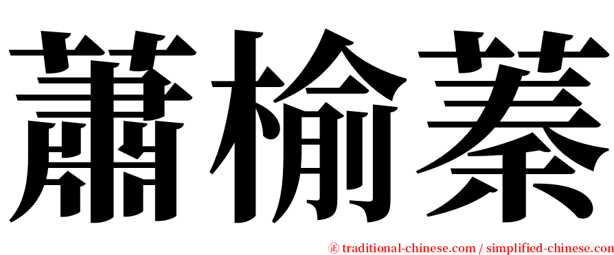 蕭榆蓁 serif font