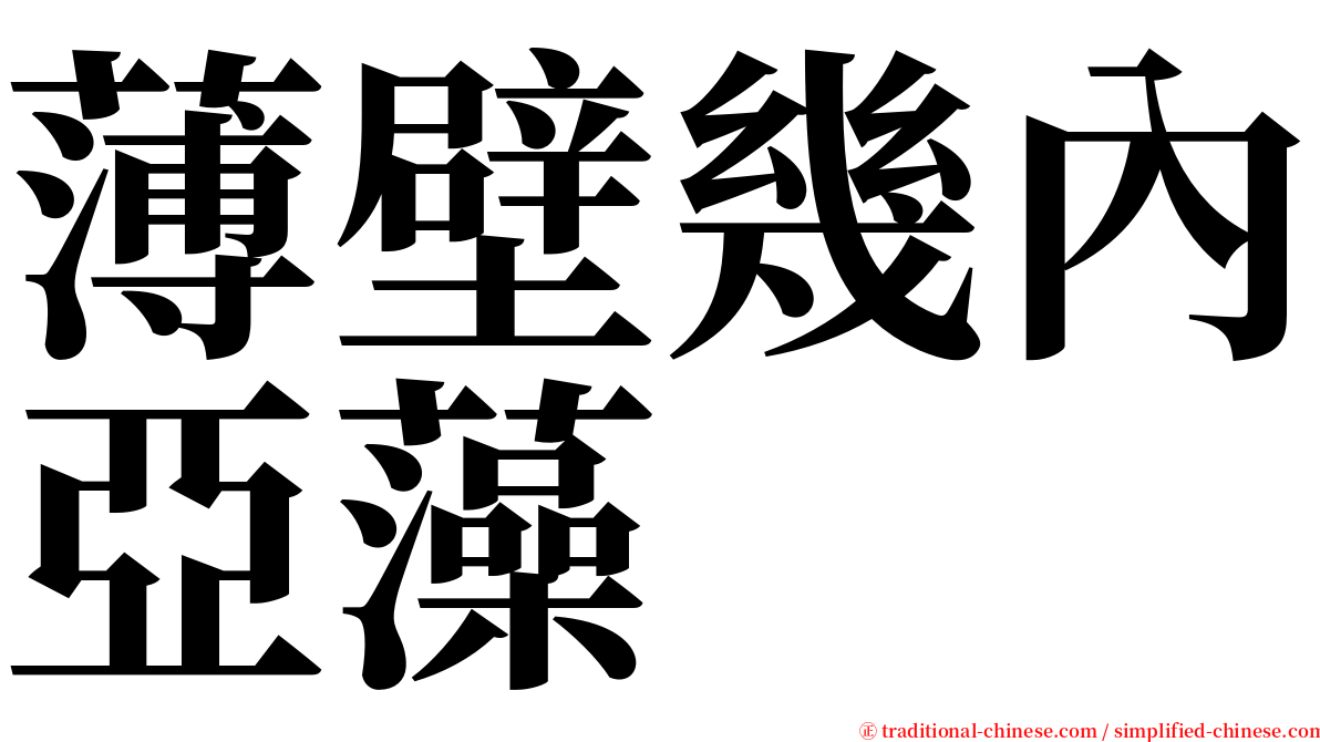 薄壁幾內亞藻 serif font