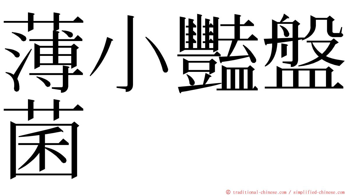 薄小豔盤菌 ming font