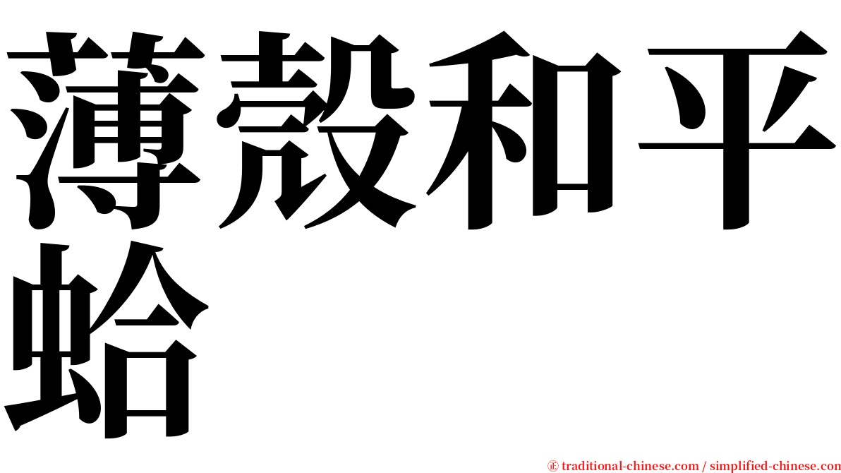 薄殼和平蛤 serif font