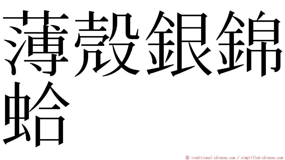 薄殼銀錦蛤 ming font