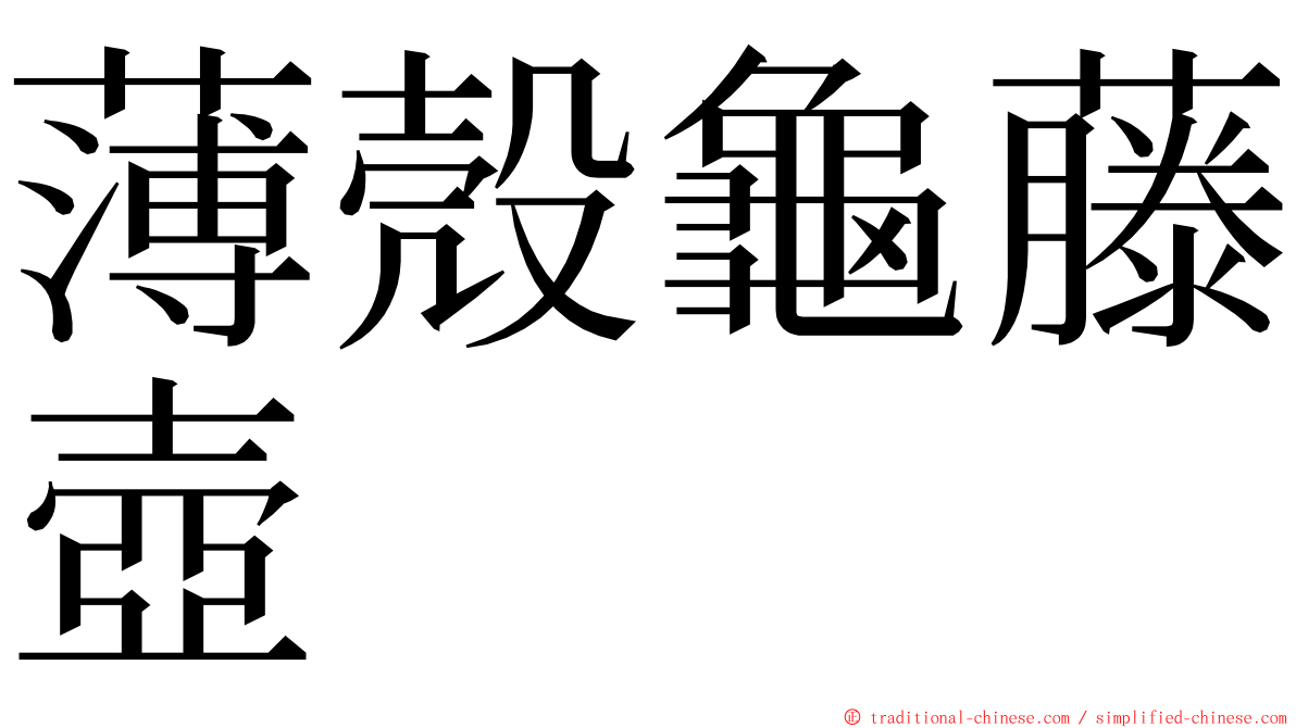 薄殼龜藤壺 ming font