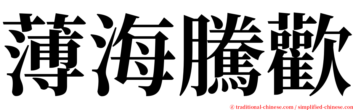 薄海騰歡 serif font