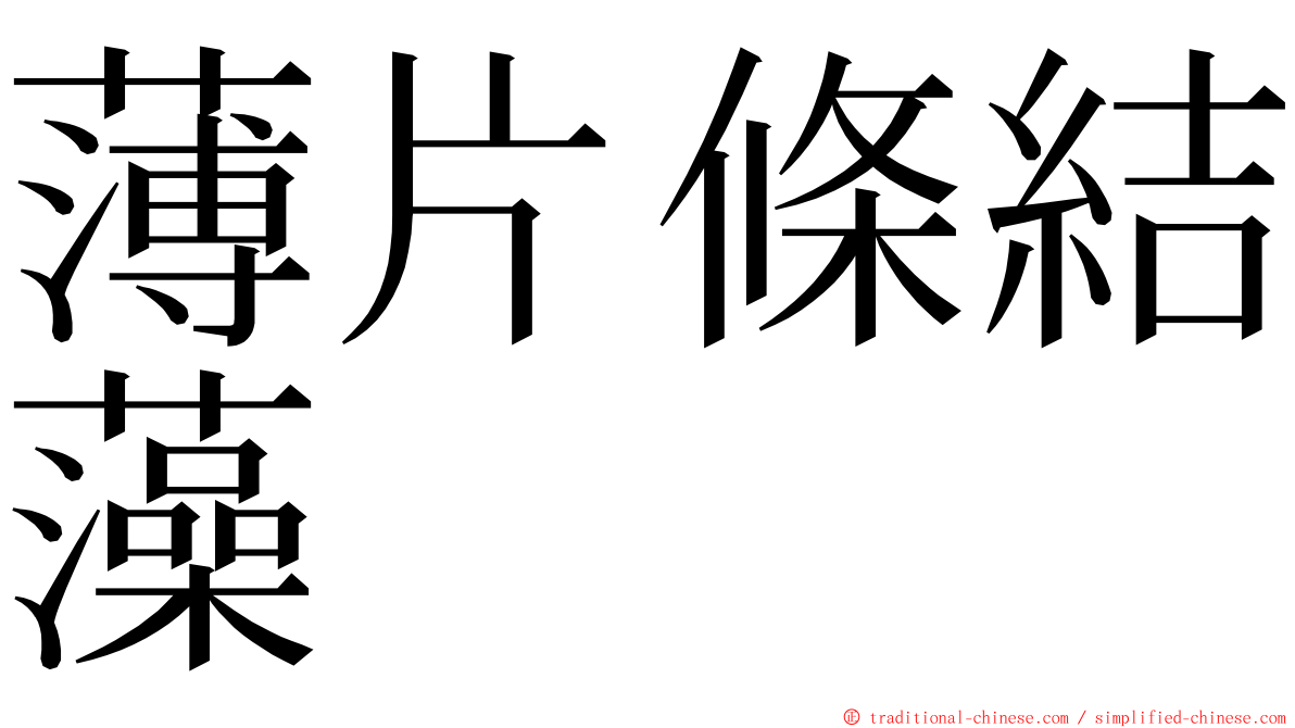 薄片條結藻 ming font