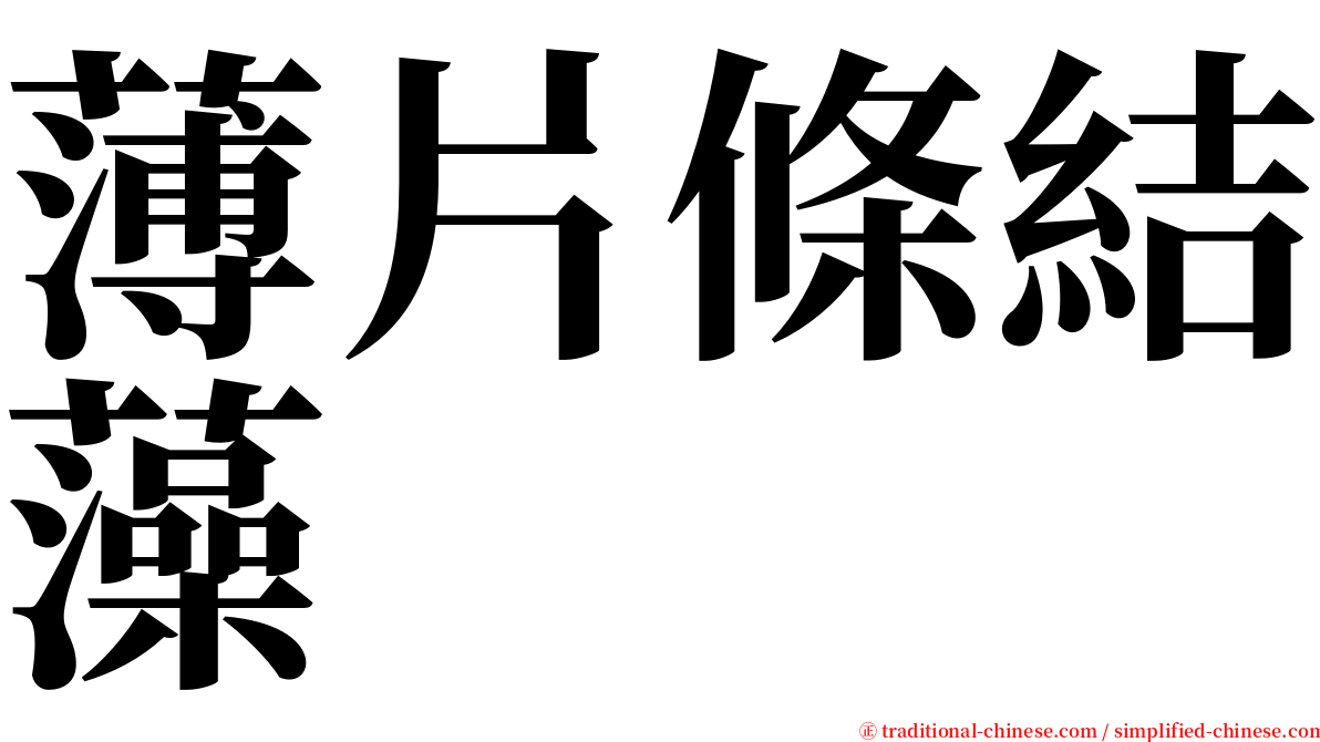 薄片條結藻 serif font