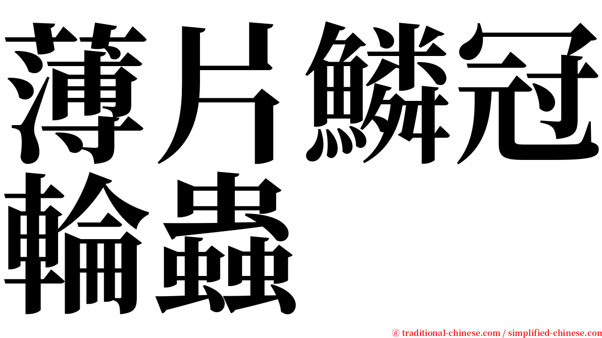 薄片鱗冠輪蟲 serif font