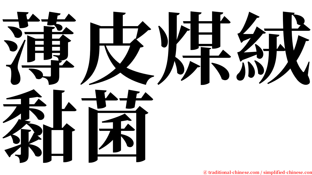 薄皮煤絨黏菌 serif font