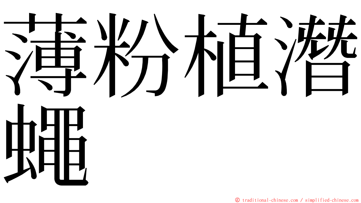 薄粉植潛蠅 ming font