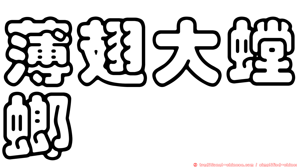 薄翅大螳螂