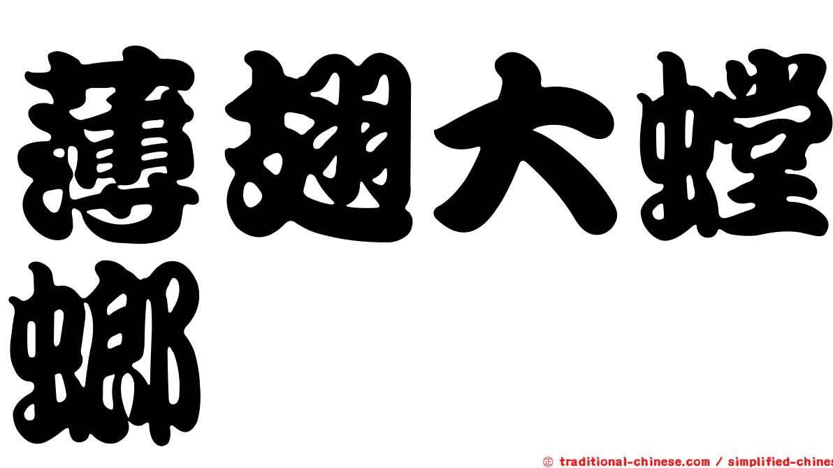 薄翅大螳螂