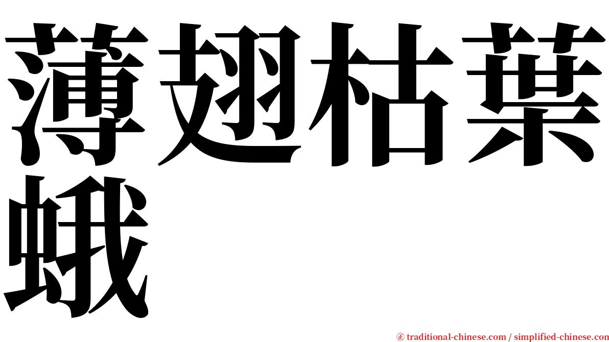 薄翅枯葉蛾 serif font