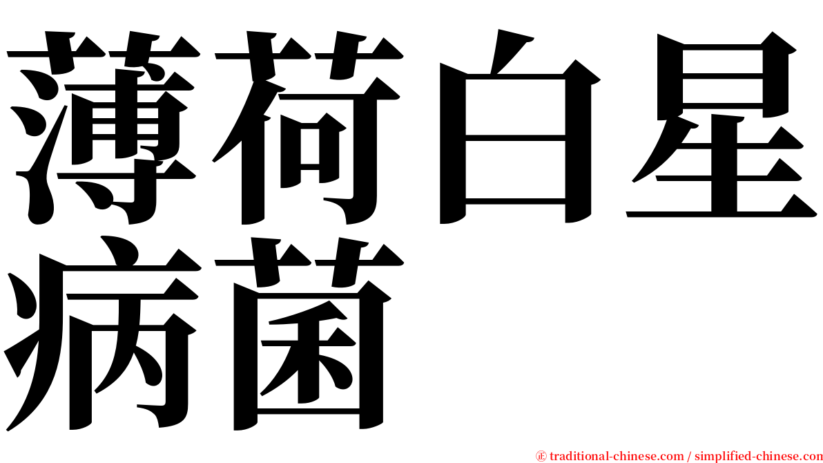 薄荷白星病菌 serif font