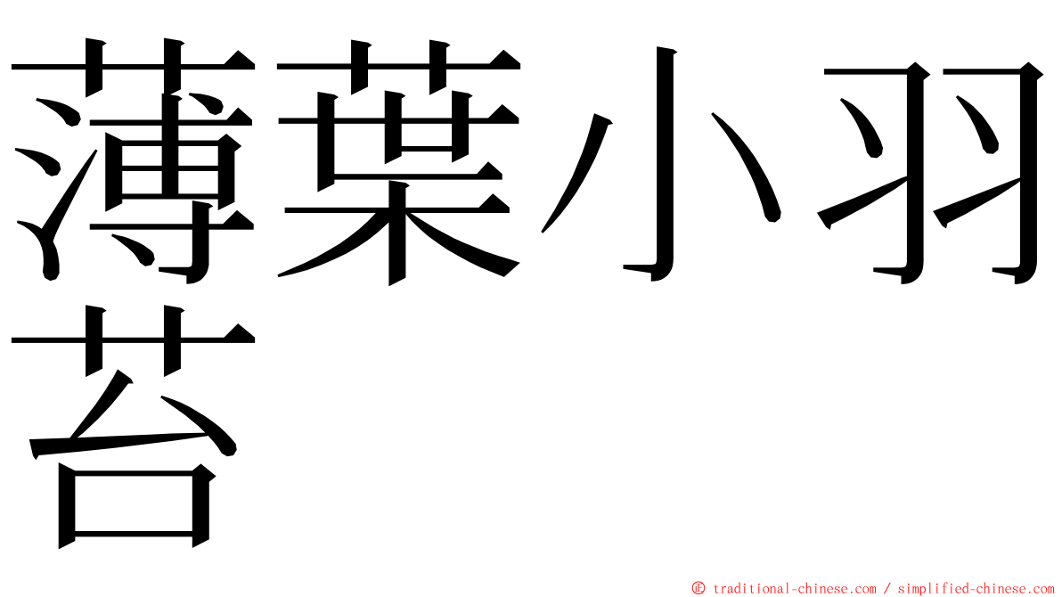 薄葉小羽苔 ming font