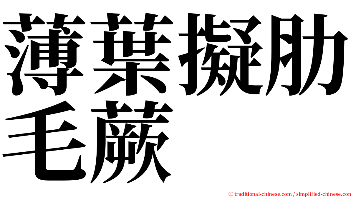 薄葉擬肋毛蕨 serif font