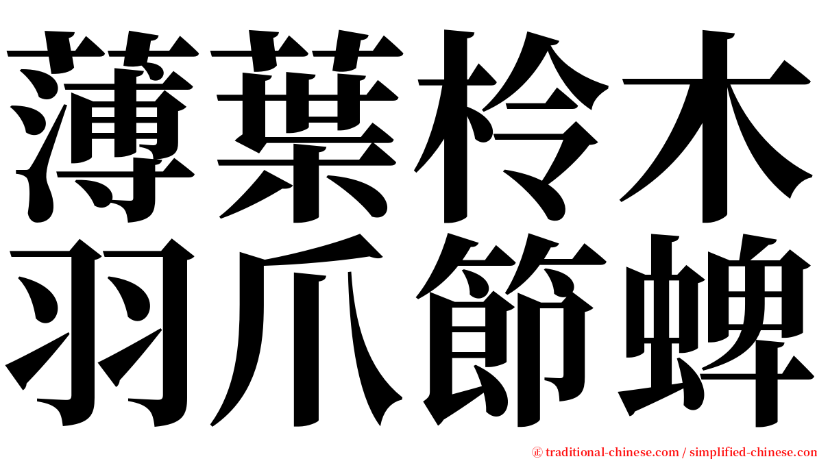 薄葉柃木羽爪節蜱 serif font