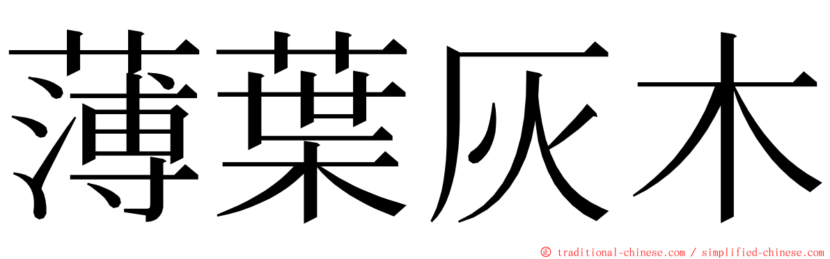 薄葉灰木 ming font