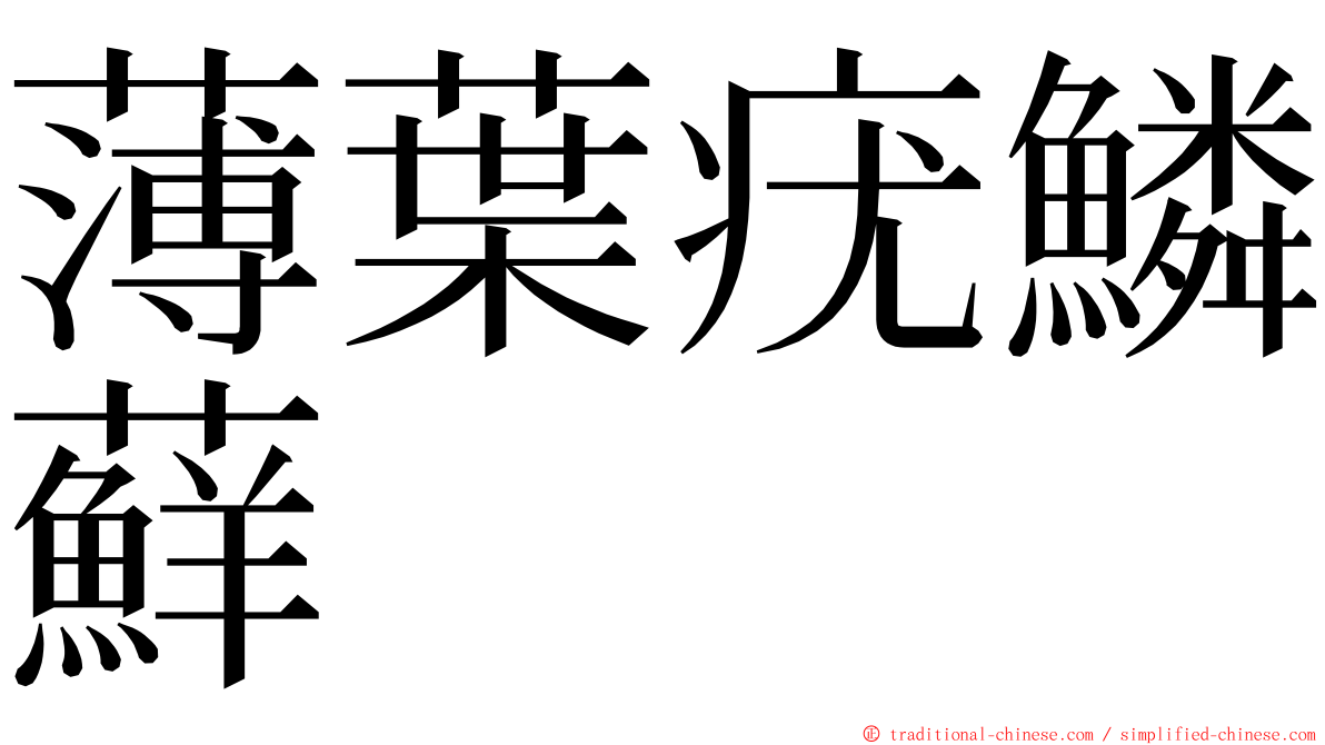 薄葉疣鱗蘚 ming font