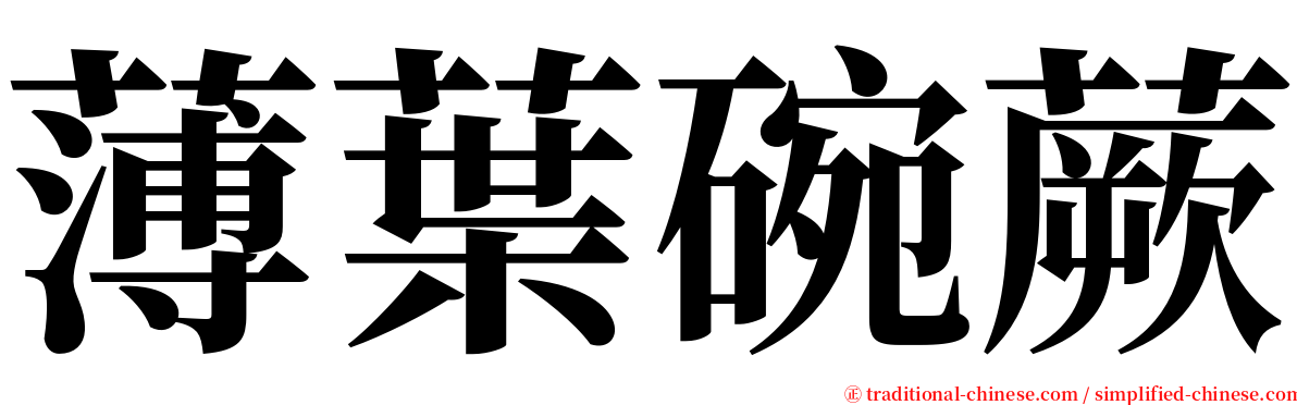 薄葉碗蕨 serif font