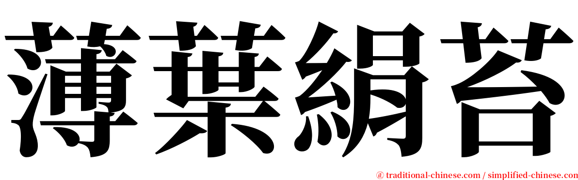 薄葉絹苔 serif font