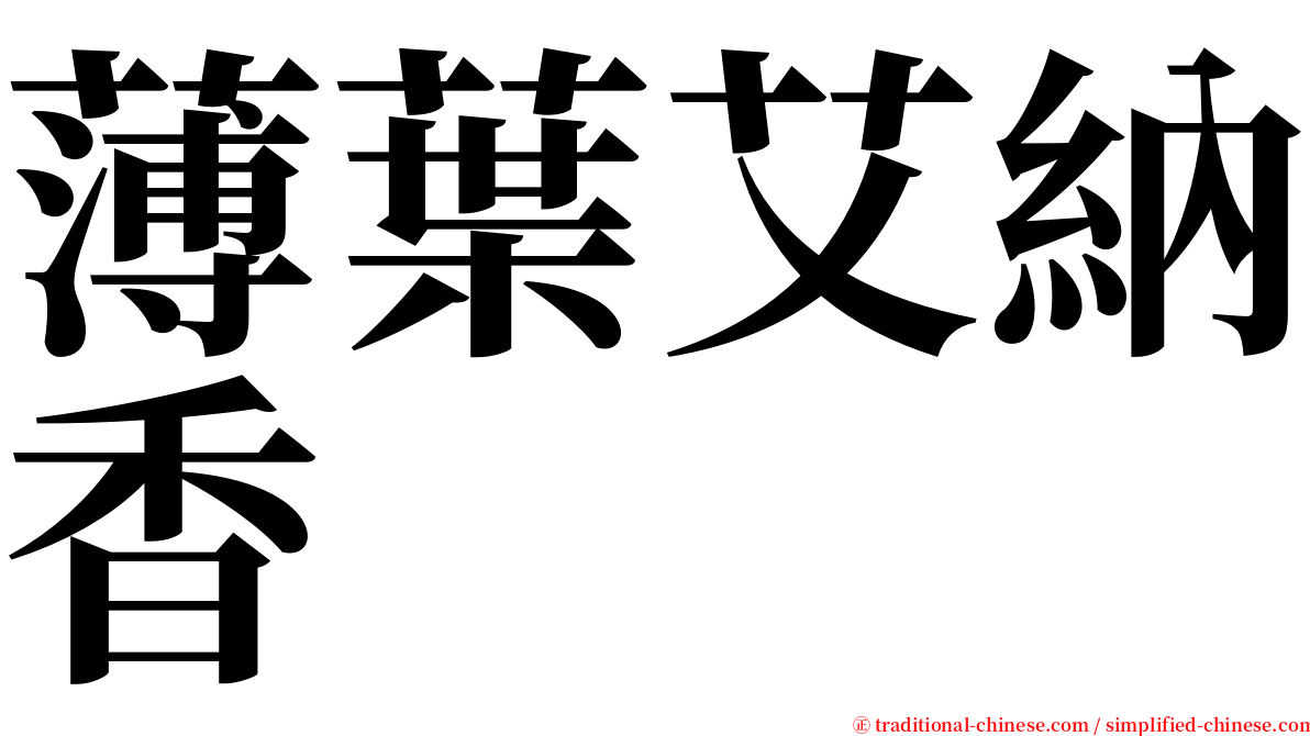 薄葉艾納香 serif font