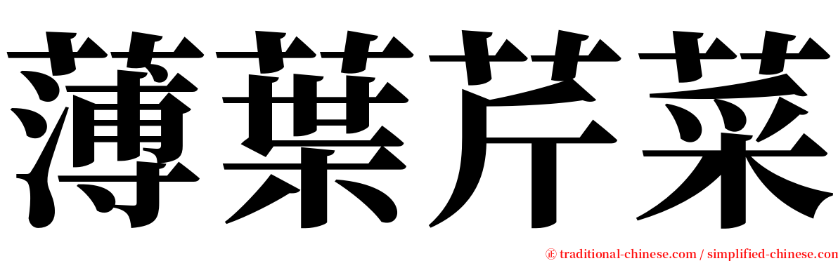 薄葉芹菜 serif font