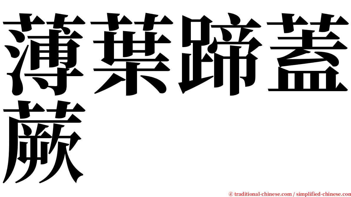 薄葉蹄蓋蕨 serif font