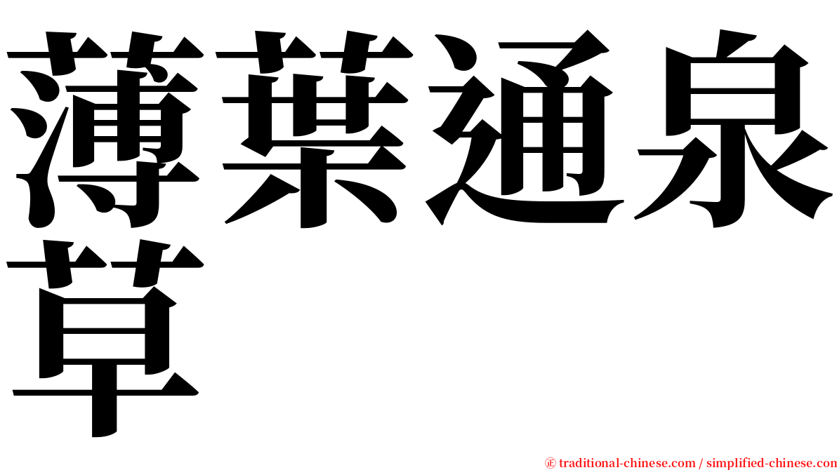 薄葉通泉草 serif font