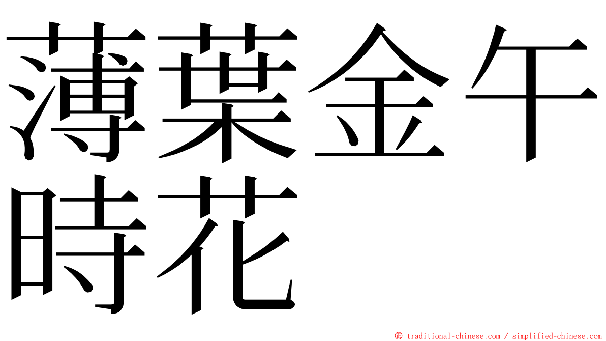 薄葉金午時花 ming font