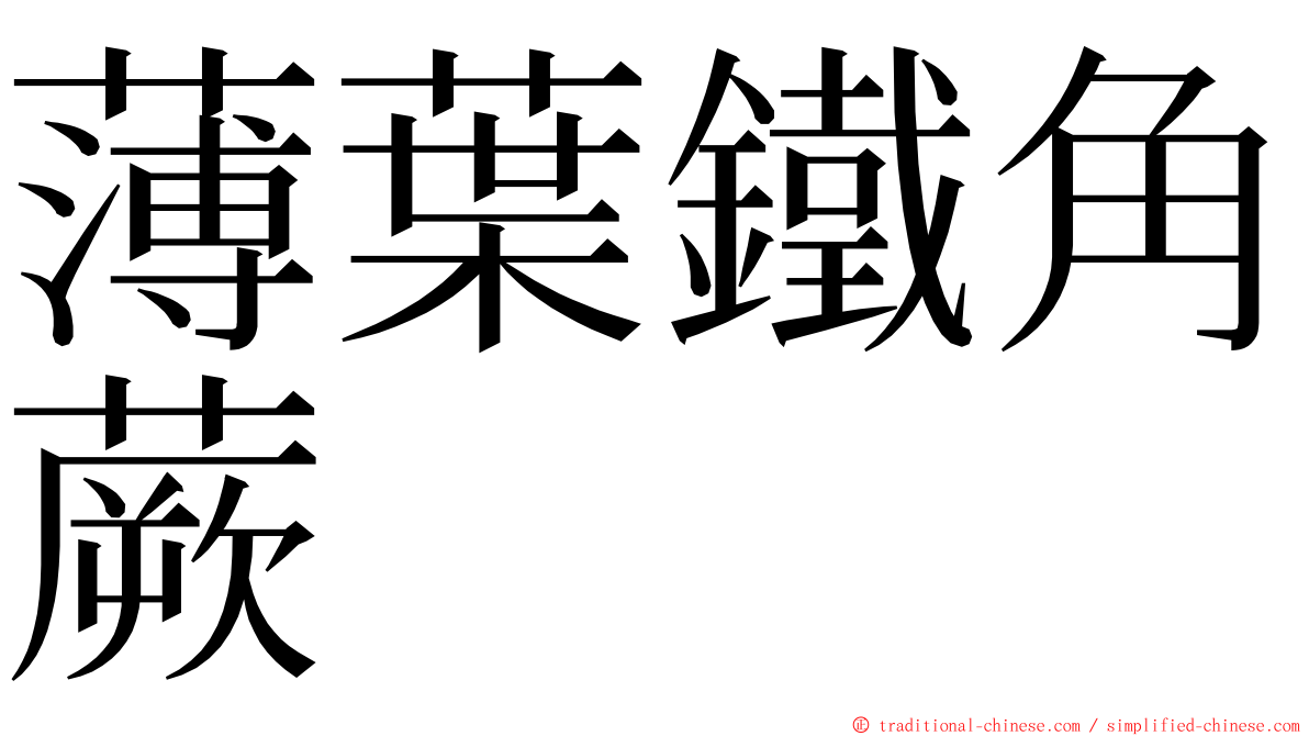 薄葉鐵角蕨 ming font