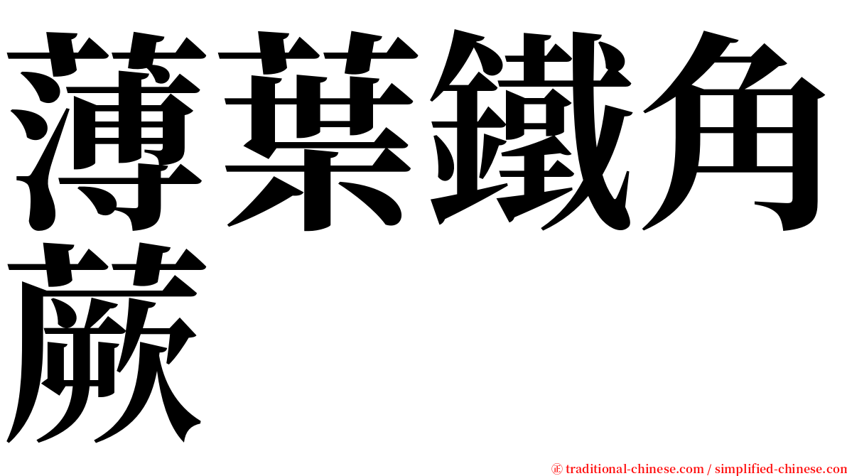 薄葉鐵角蕨 serif font