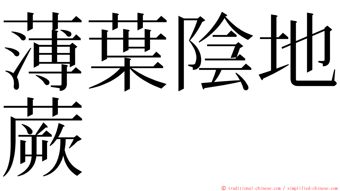 薄葉陰地蕨 ming font