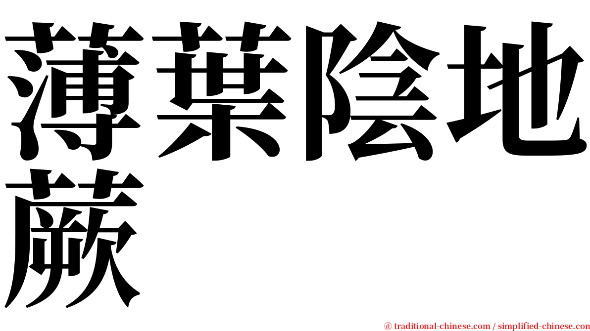 薄葉陰地蕨 serif font