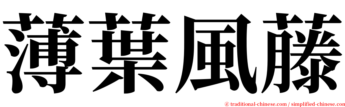 薄葉風藤 serif font