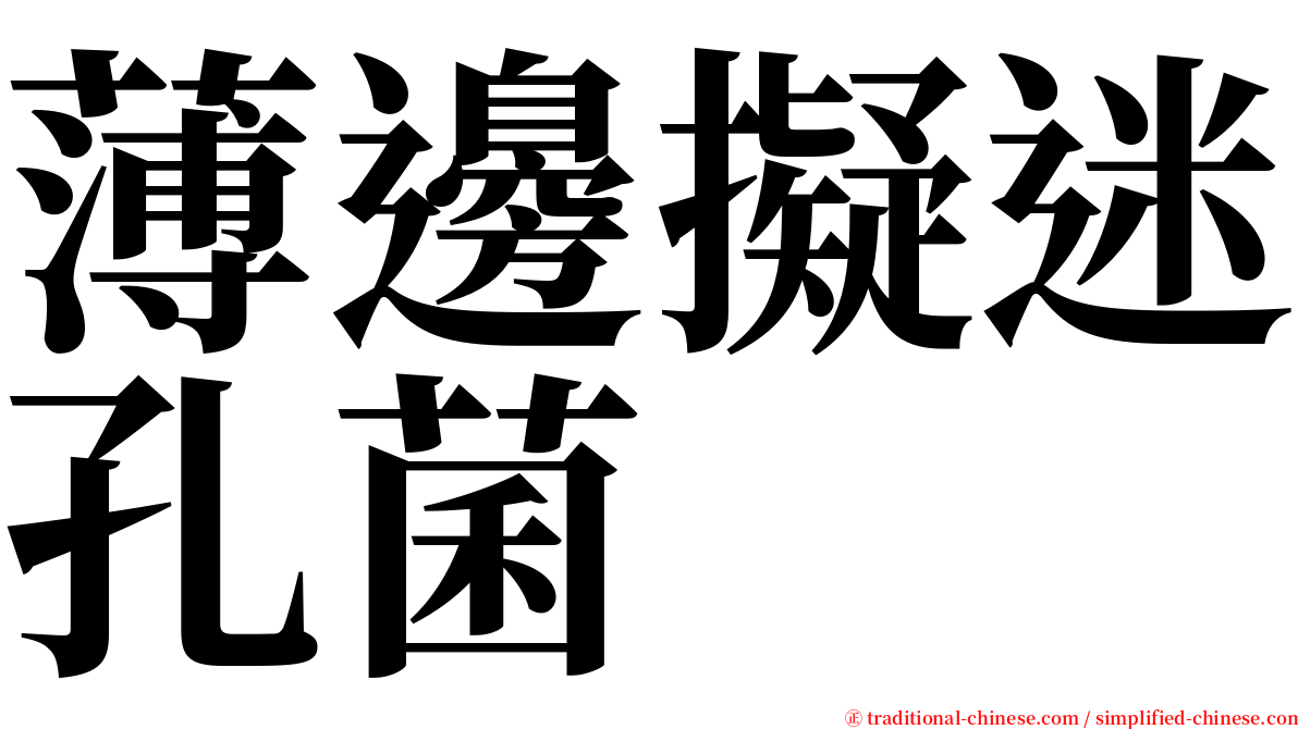 薄邊擬迷孔菌 serif font