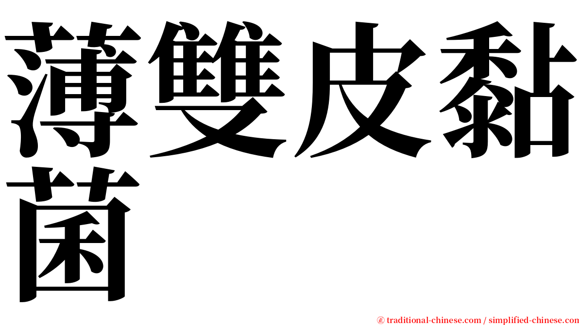 薄雙皮黏菌 serif font