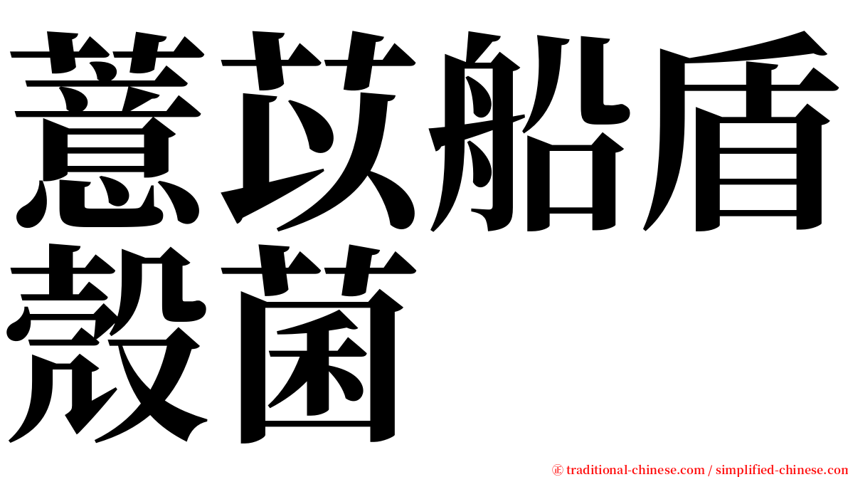 薏苡船盾殼菌 serif font