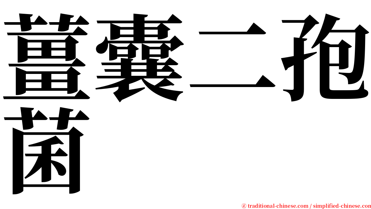 薑囊二孢菌 serif font