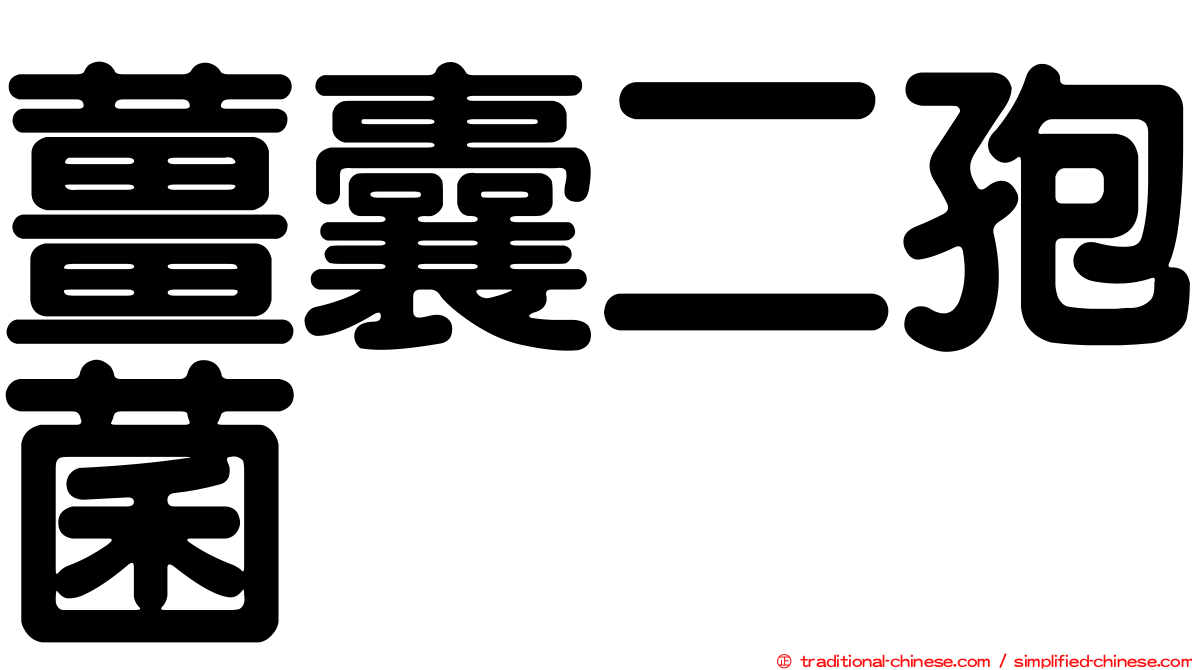 薑囊二孢菌