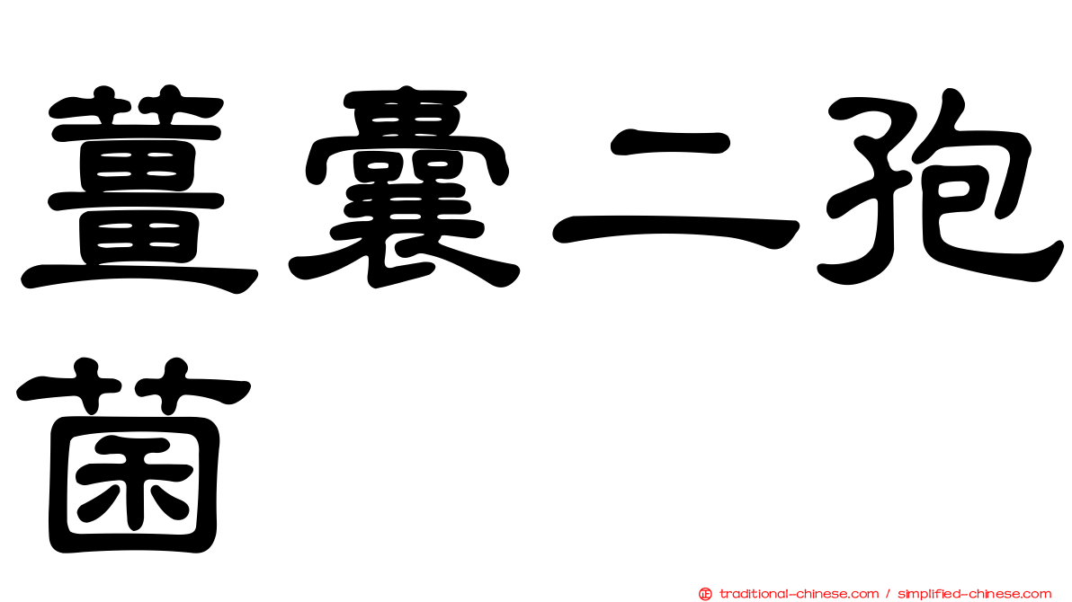 薑囊二孢菌