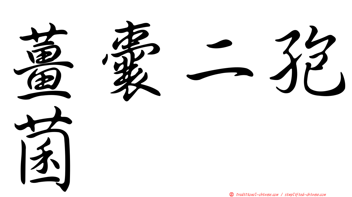 薑囊二孢菌