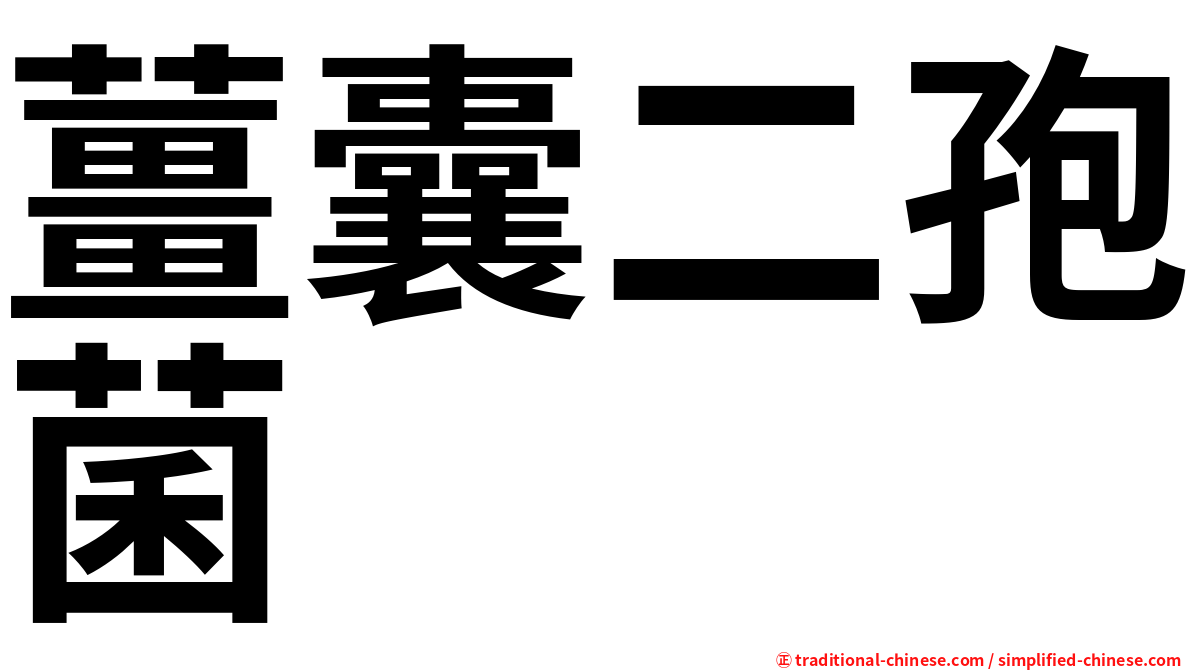 薑囊二孢菌