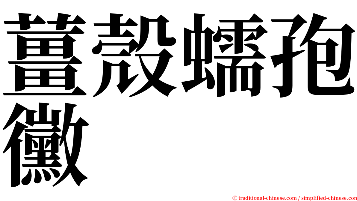 薑殼蠕孢黴 serif font