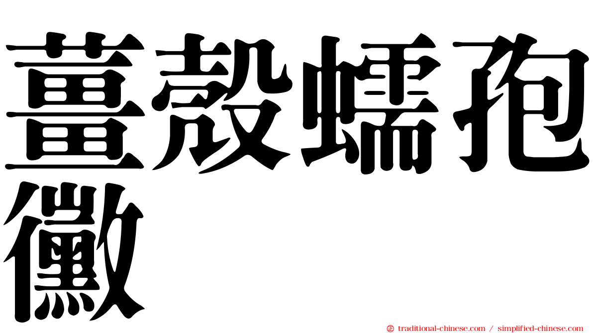 薑殼蠕孢黴