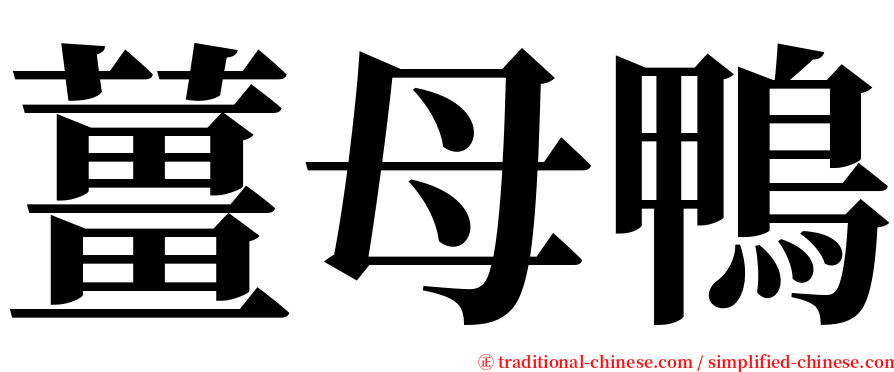 薑母鴨 serif font
