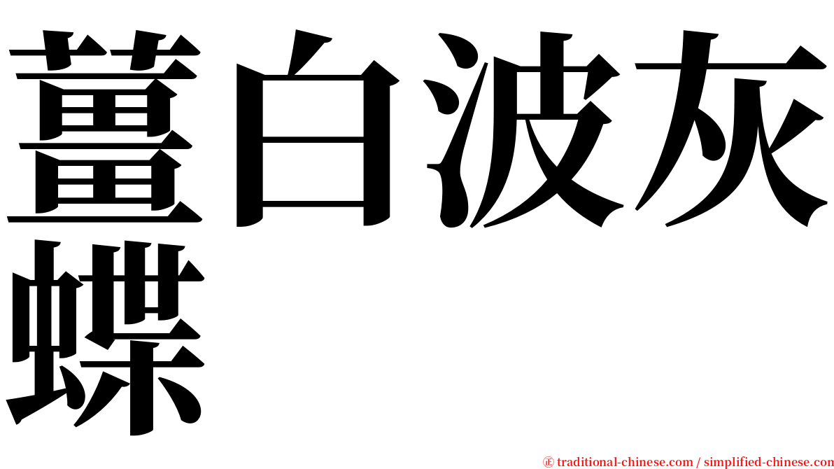 薑白波灰蝶 serif font