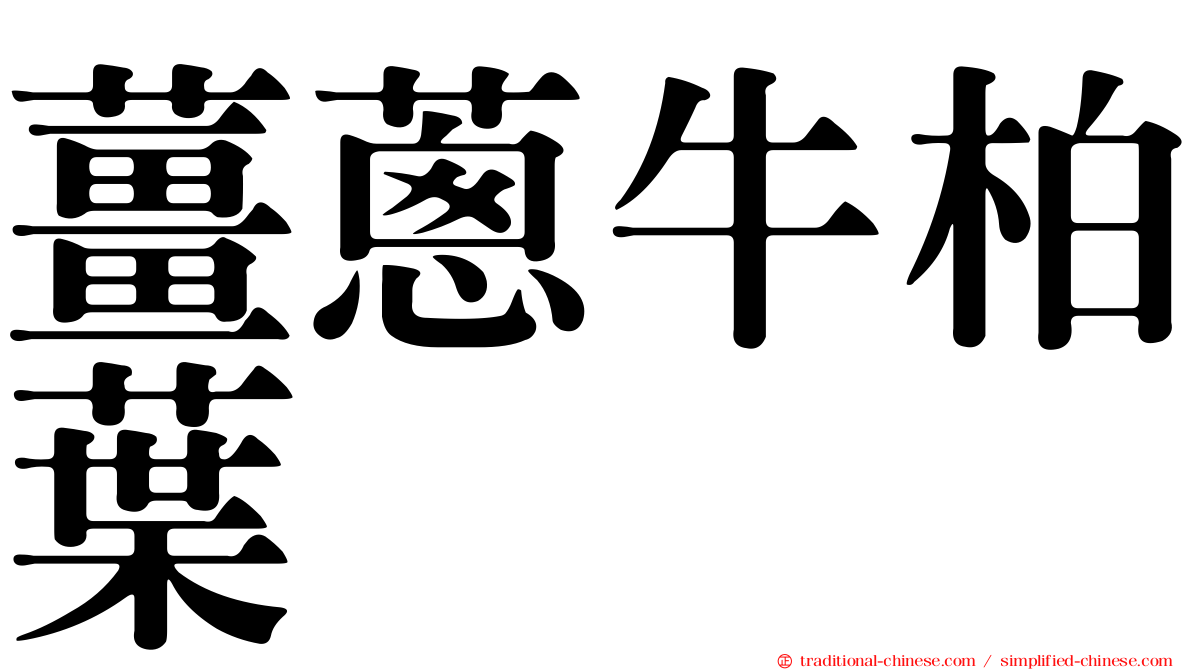 薑蔥牛柏葉
