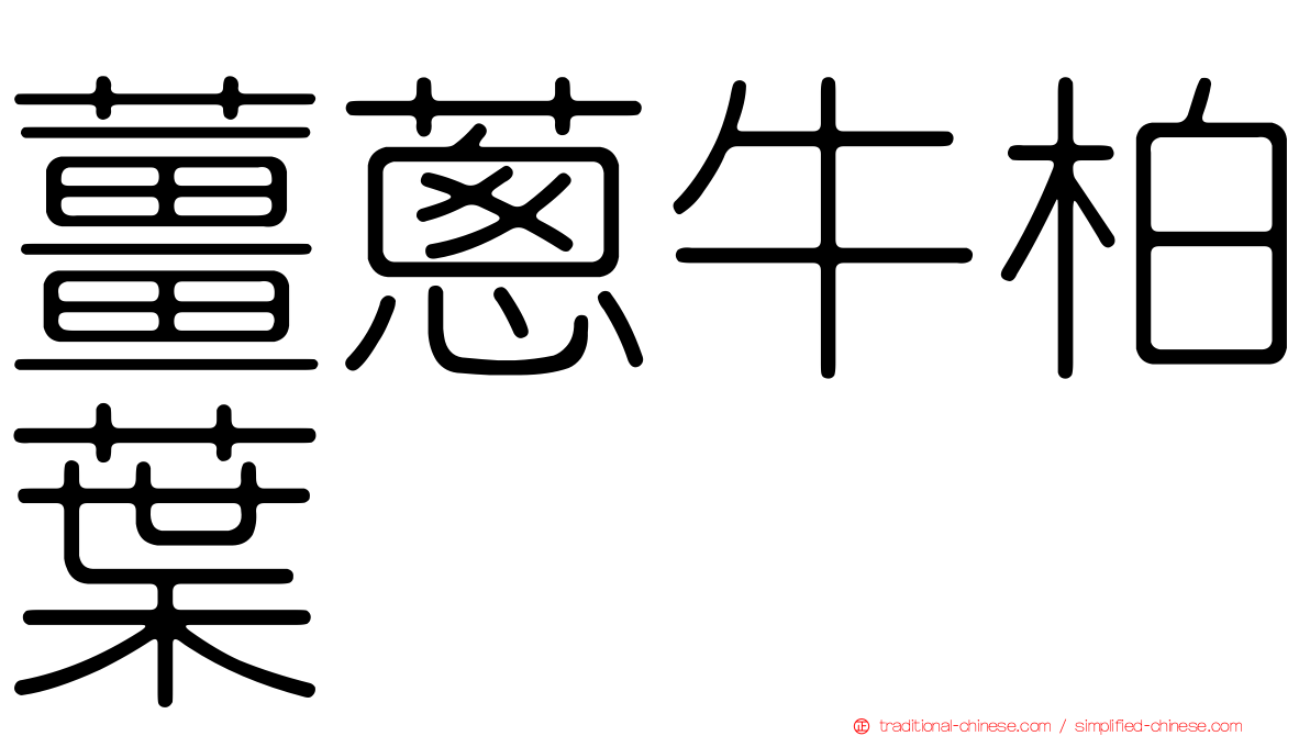 薑蔥牛柏葉