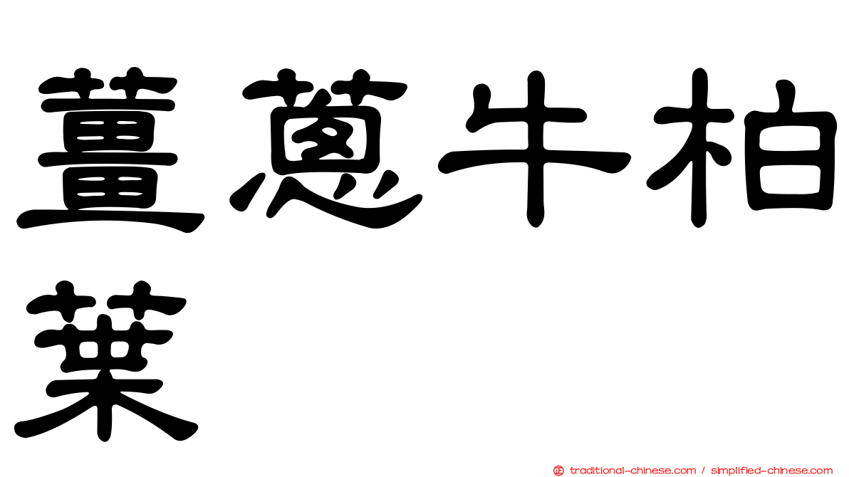 薑蔥牛柏葉
