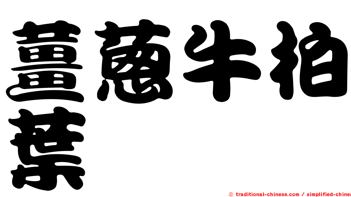 薑蔥牛柏葉