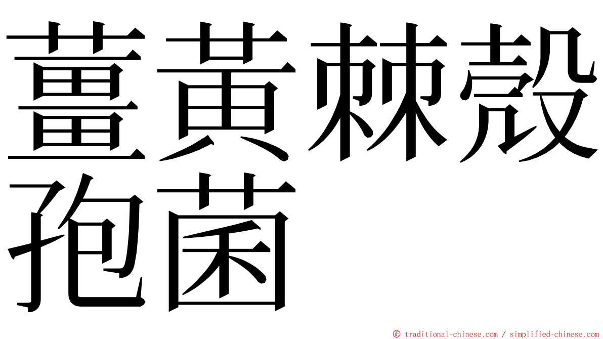 薑黃棘殼孢菌 ming font